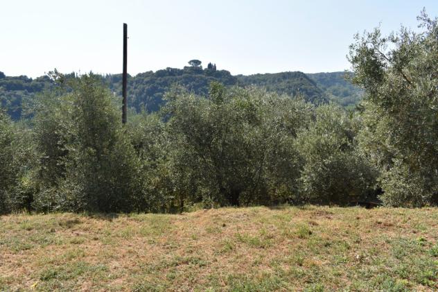 COLONICA di 5 vani e di 100 mq (VOLTERRA) rif. V 310 - Foto 4