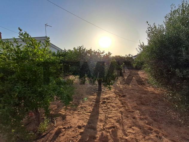 Villa o villino in vendita a Ragusa, Punta Braccetto - Foto 14