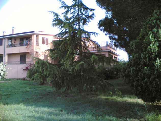 Ampio quadrilocale con terrazzo e camino