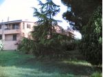 Ampio quadrilocale con terrazzo e camino