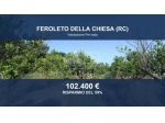 Immobile in asta di 4805 m² in vendita a Feroleto della Chiesa