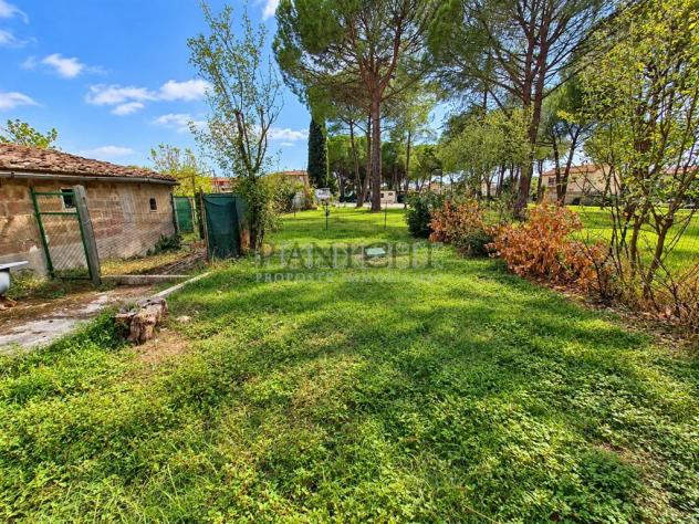 Ampio appartamento con garage, cantina, giardino e terreno agricolo - Foto 19