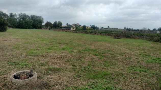 Terreno - Foto 5