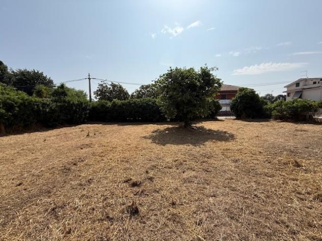 Terreno edificabile in vendita a Nettuno - Foto 12