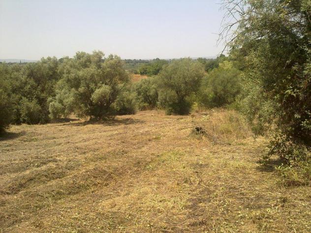 Seminativo in vendita a Siracusa - Foto 5