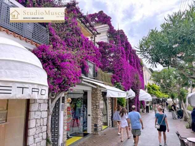 StudioMusco vende a Capri, in via Camerelle, la più prestigiosa strada dello shopping, introvabile appartamento con terrazzo a livello e vista panoram - Foto 4