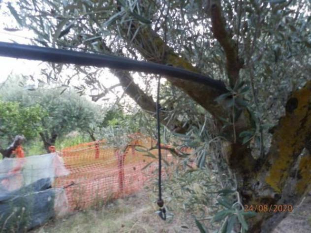 Immobile in asta di 76 m² in vendita a Nova Siri - Foto 5