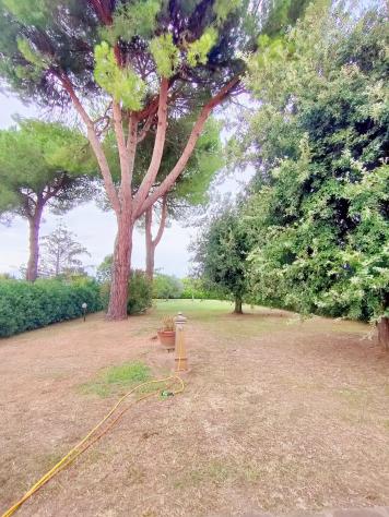 Viareggina in vendita a Arena Metato - San Giuliano Terme 156 mq Rif: 1451572 - Foto 3