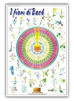 Lezioni, seminari-corsi naturopatia, yoga, tai-chi-chuan,sviluppo energie-psiche - Foto 4