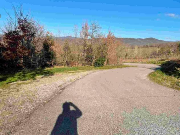 Immobile in asta di 34322 m² in vendita a Bucine - Foto 10