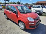 FIAT Pandina PANDA MY26 1.0 65CV HYBRID ICON