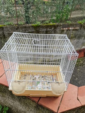 Gabbie da uccelli - Foto 6