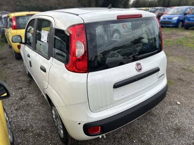 FIAT Panda 1.0 FireFly S&S Hybrid Pandina - Foto 6