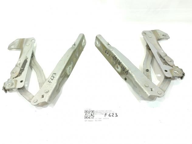 CERNIERE COFANO ANTERIORE DX E SX JEEP Patriot 1° Serie ECN (07) - Foto 3