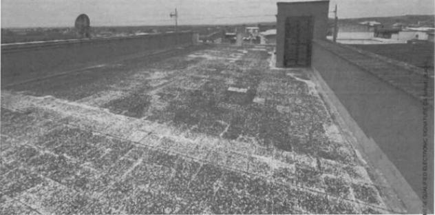 Immobile in asta di 176 m² con più di 5 locali in vendita a Apricena - Foto 5