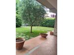 Duplex in affitto a Pisa 100 mq  Rif: 1417495