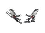 Aprilia Rsv4 1100 pedane arretrate semimanubri protezioni in carbonio Lightech