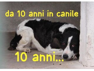 BIRBA 10 ANNI taglia media
