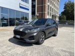 Ford Kuga 2.0 EcoBlue 120CV 2WD ST-Line Auto