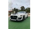 Ford Mustang Fastback 2.7 EcoBoost Shelby 500 Americana