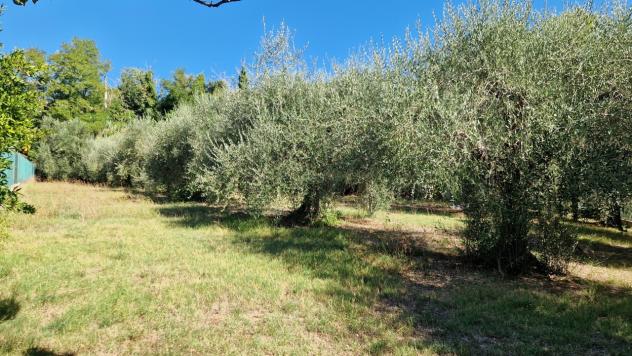 Terreno edificabile in vendita a Perugia - Foto 7