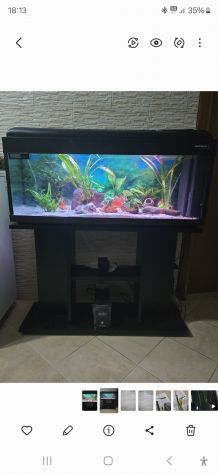 Acquario 100 litri - Foto 2