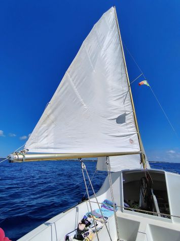 Barca a vela deriva mobile 5,1 m - Foto 3