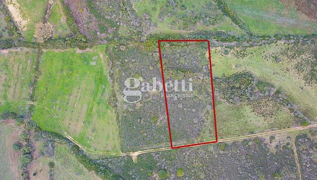 Terreno Agricolo - Budoni . Rif.: Cod. rif 3204979VCG - Foto 10