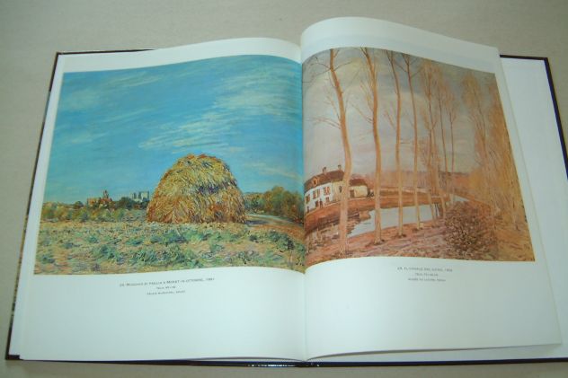 Sisley - Un inglese a Parigi - Foto 10