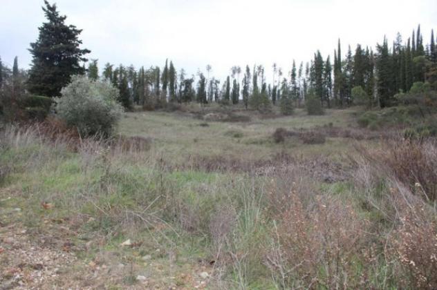 Immobile in asta di 5805 m² in vendita a Castelnuovo Berardenga - Foto 8
