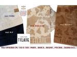 Telo spugna 1CLASSE ALVIERO MARTINI