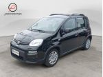 FIAT Panda 3ª serie 1.0 FireFly S&S Hybrid
