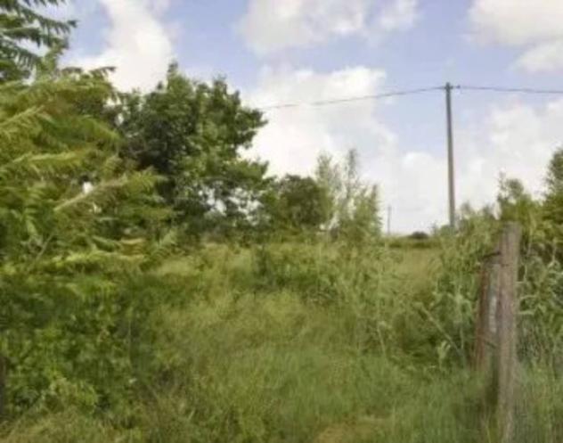Immobile in asta di 2078 m² in vendita a Castel Viscardo - Foto 6