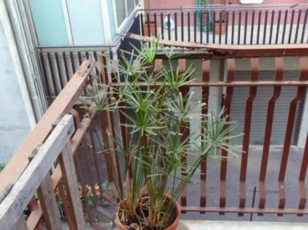 Immobile in asta di 104 m², box auto in vendita a Aci Sant'Antonio - Foto 7