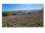 IMMOBILI-ALTRA CATEGORIA-Strada di Paglialonga, 60020 Agugliano AN, Italia