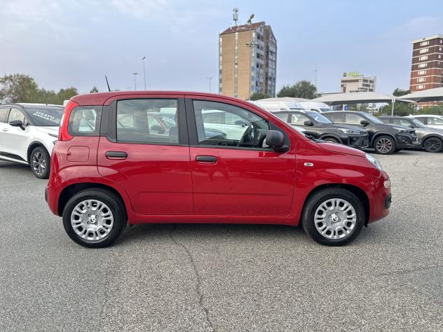 FIAT Pandina Pandina 1.0 firefly hybrid Icon s&s 70cv - Foto 8