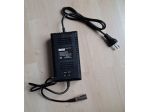 caricabatteria 36 v 1,6 A batteria piombo spina maschio 3 pin