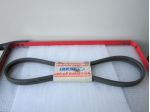 (Cod.441)Serie cinghie Fiat 682