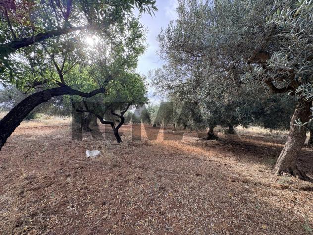 Terreno in vendita a Comiso, Centro - Foto 4