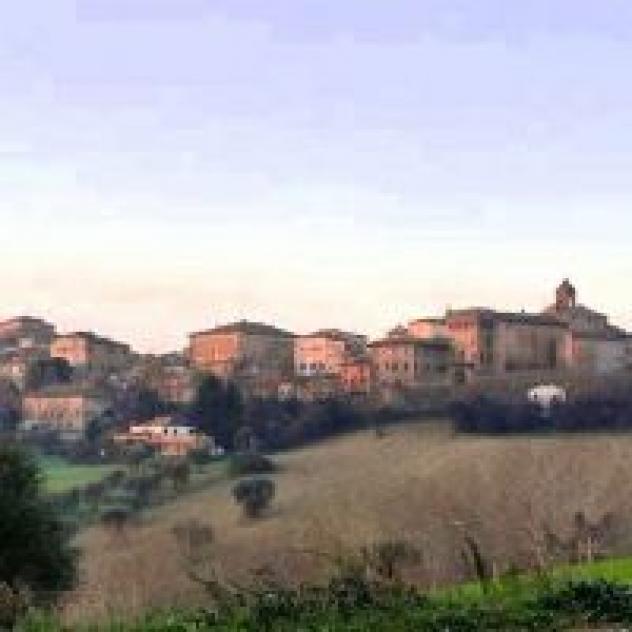 Ostra...Che Bello!!! - Foto 2