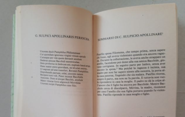 TERENZIO - La suocera - Foto 8