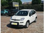 FIAT Pandina 1.0 FireFly 65 CV Hybrid Icon 4 Posti rif. 23468543