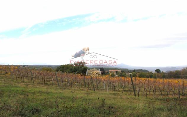Orvieto - Vendesi PORZIONE di casale panoramico su Orvieto, ristrutturato al grezzo. - Foto 2