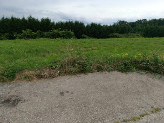 Terreno di 900 m² in vendita a Sumirago - Foto 6