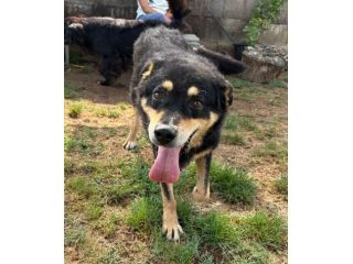 -CAFFÈ MERITA UNA SECONDA CHANCE-