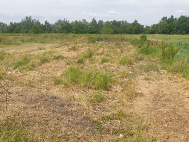 ABITAZIONE PIU' MAGAZZINO ED AREA DI PERTINENZA - Foto 2