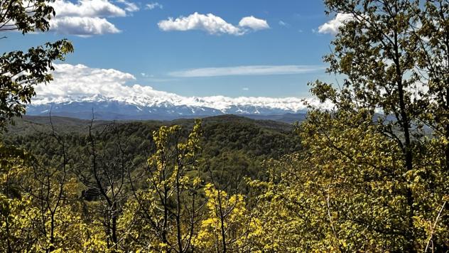 Rustico in vendita a Giusvalla - Foto 3
