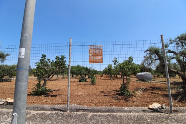 TERRENO AGRICOLO VIA DELLE ROSE GROTTAGLIE