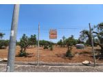 TERRENO AGRICOLO VIA DELLE ROSE GROTTAGLIE