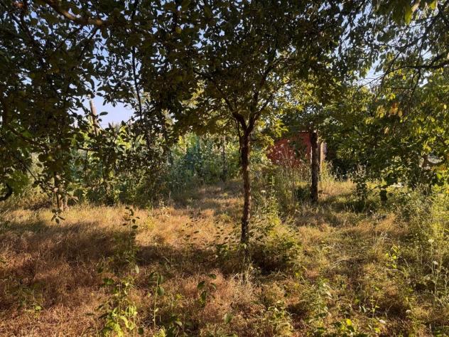 Terreno agricolo in vendita a Sant'Andrea a Montecchio - Siena 1500 mq Rif: 1428059 - Foto 9